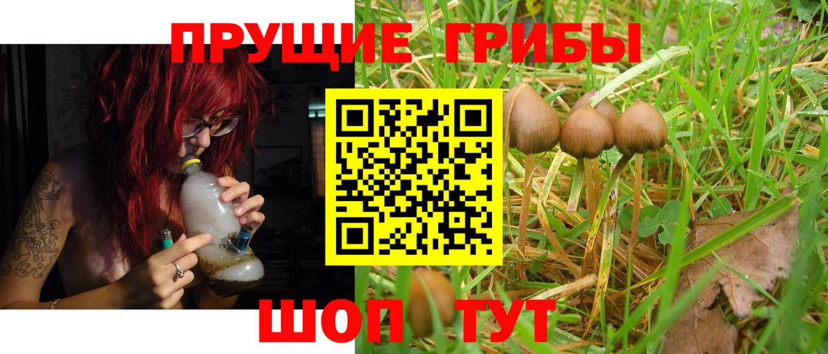 Галлюциногенные грибы прущие грибы Горячий Ключ